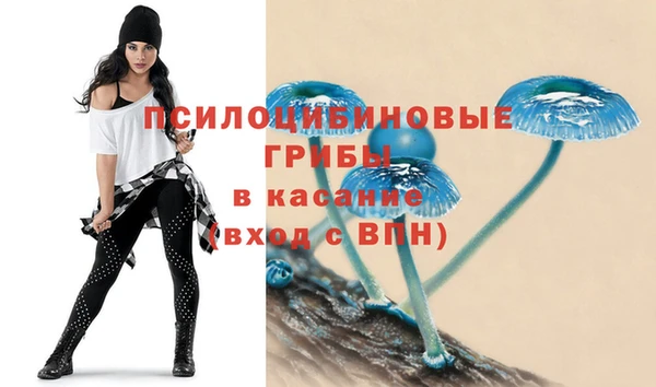 ПСИЛОЦИБИНОВЫЕ ГРИБЫ Алексеевка