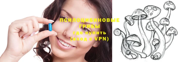 ПСИЛОЦИБИНОВЫЕ ГРИБЫ Алексеевка