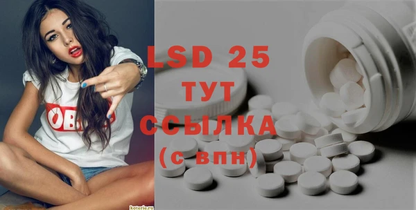 ПСИЛОЦИБИНОВЫЕ ГРИБЫ Алексеевка