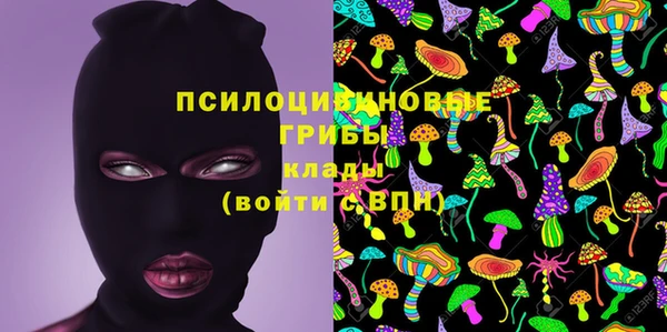 соль ск Алзамай