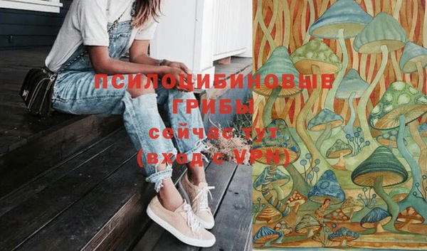 ПСИЛОЦИБИНОВЫЕ ГРИБЫ Алексеевка