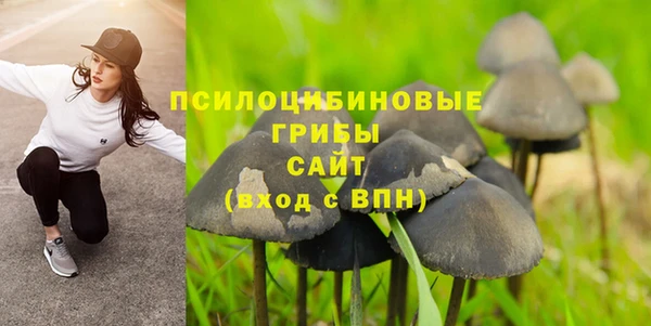 соль ск Алзамай