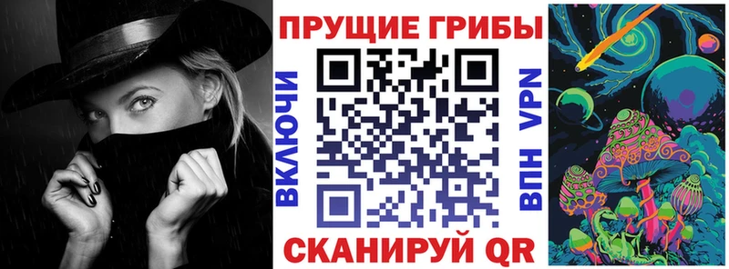 Галлюциногенные грибы Psilocybe  дарнет шоп  Амурск 